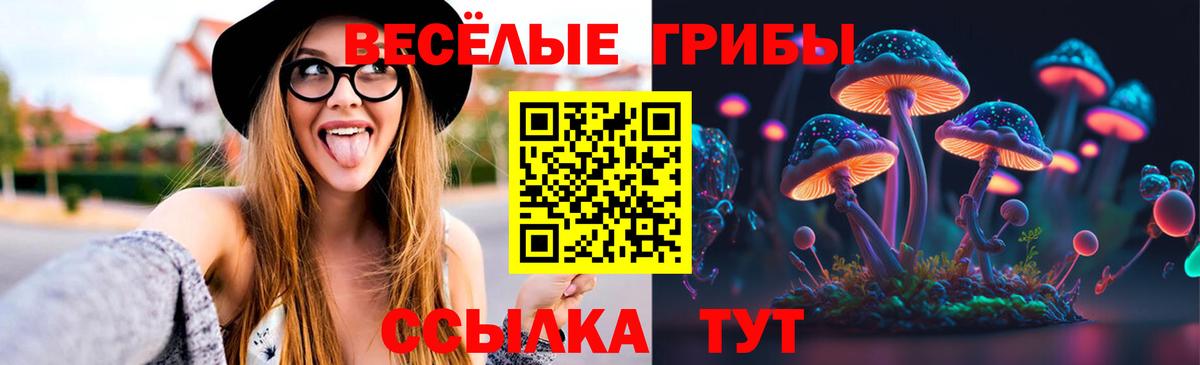 Псилоцибиновые грибы MAGIC MUSHROOMS Кубинка